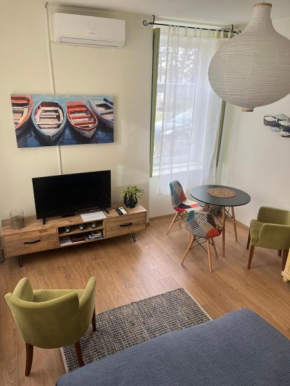 OLD TISA Apartment